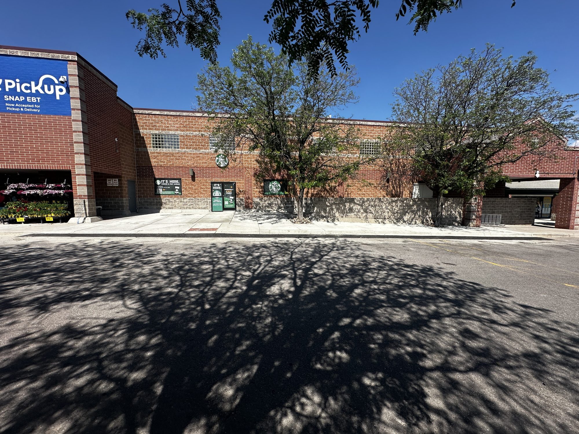 Freshly paved asphalt approach to a commercial building entrance